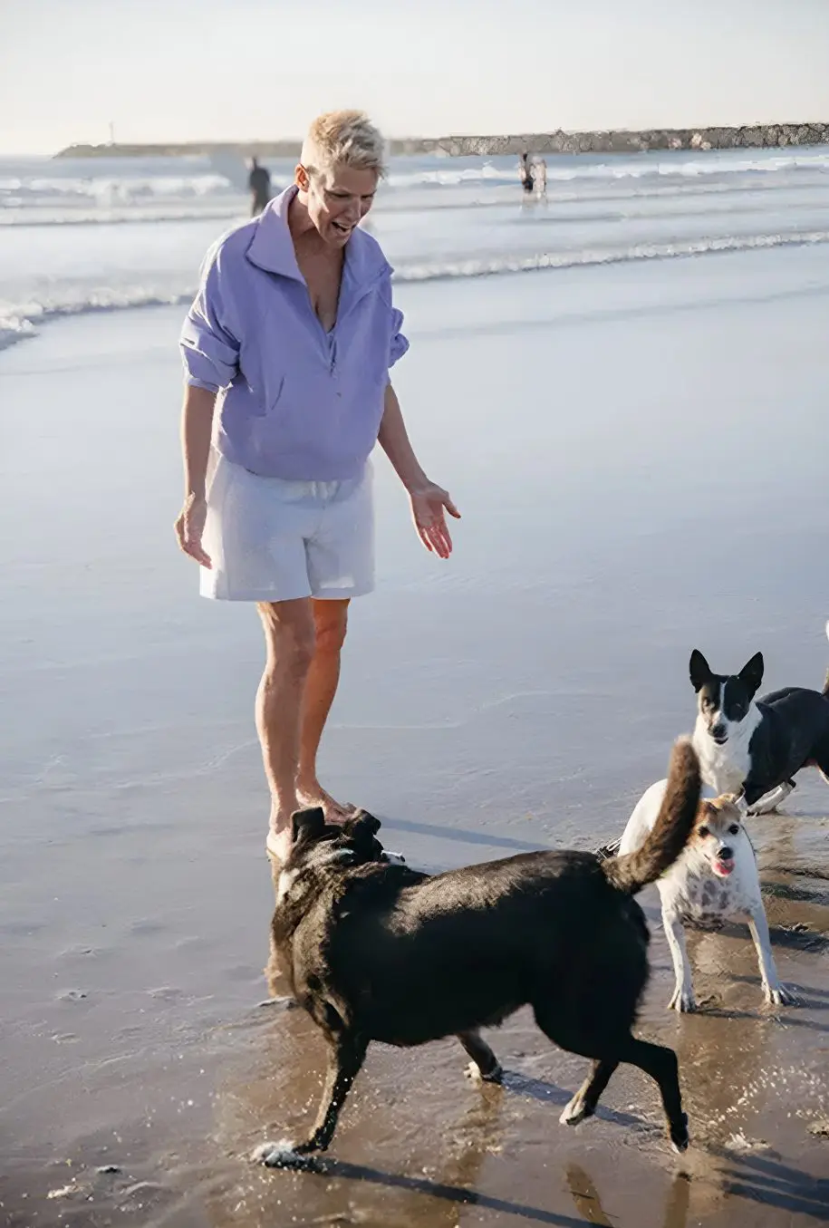 Person walking two dogs on a beach near the water.