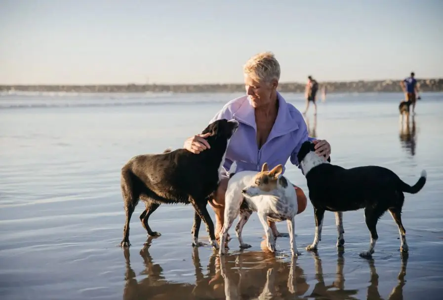 Woman petting three dogs on a beach at sunset.